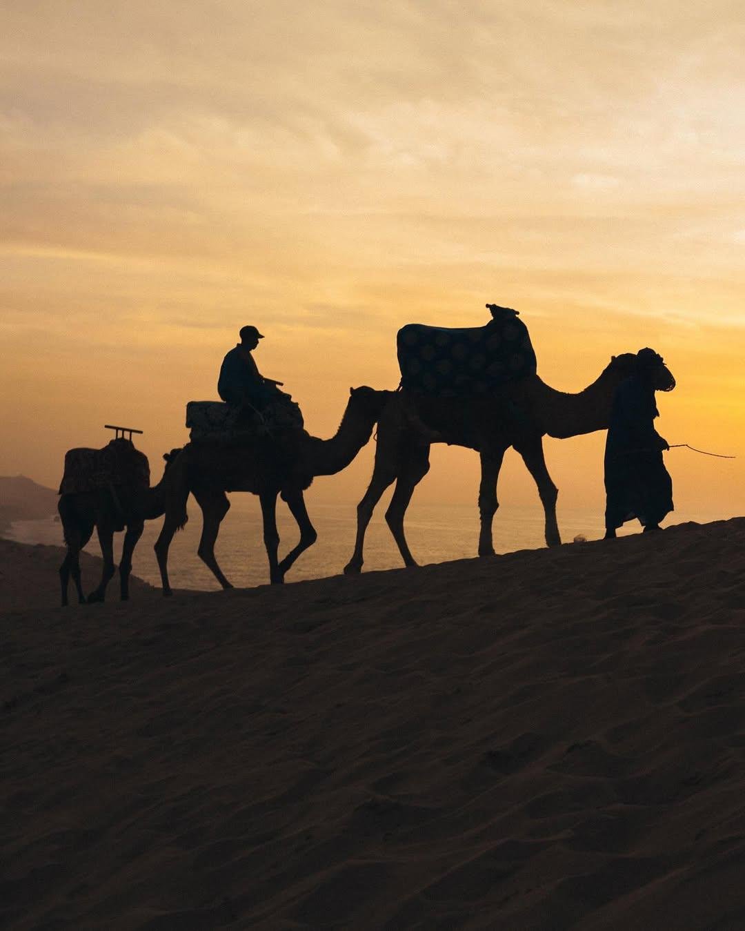 Balade à dos de chameau & Sandboarding dans les Dunes de Timlalin – Aventure au bord de l’Atlantique